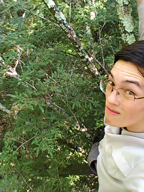 Me in tree in New York.